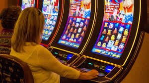ff555 bet