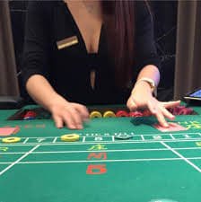 ff555 bet