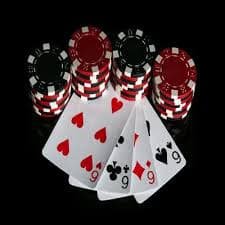 ff555 bet